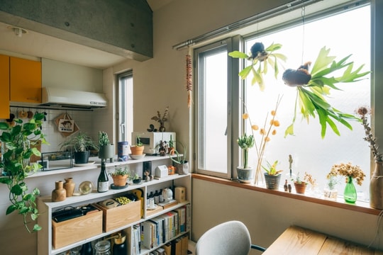 Những căn hộ ở Nhật Bản lộn xộn một cách có chủ ý