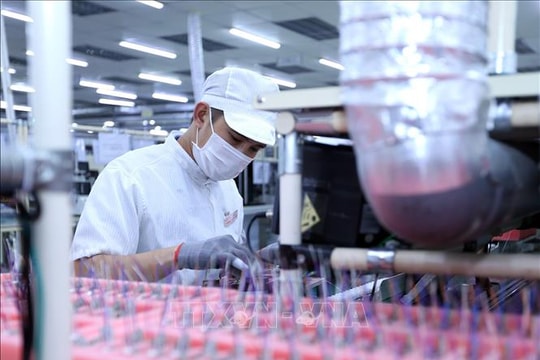 Doanh nghiệp Việt triển khai chuyển đổi kép để nâng tầm cạnh tranh