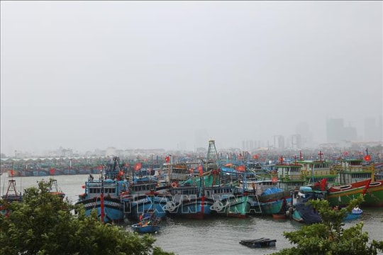 Kiểm đếm, quản lý chặt tàu thuyền ra khơi trong vùng nguy hiểm của bão KALMAEGI