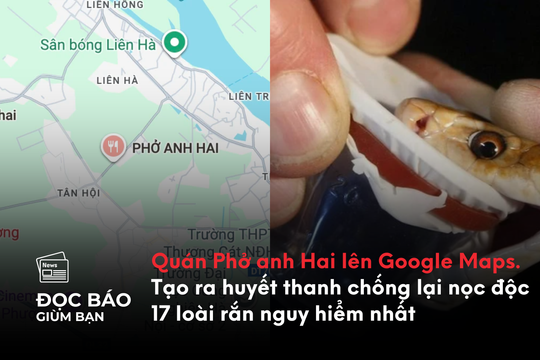 Quán Phở anh Hai lên Google Maps. Tạo ra huyết thanh chống lại nọc độc 17 loài rắn nguy hiểm nhất