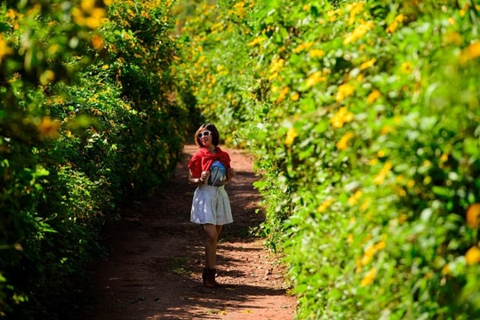 Đi đâu ngắm trọn cảnh đẹp mùa thu Việt Nam