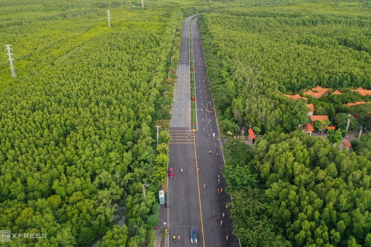 TP HCM sẽ giữ nguyên gần 35.000 ha rừng ngập mặn Cần Giờ