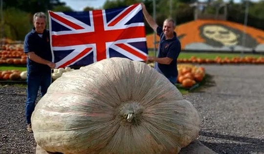 Cặp sinh đôi người Anh lập kỷ lục thế giới với quả bí ngô khổng lồ nhất từng thấy