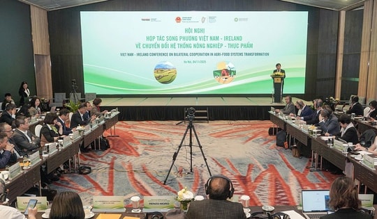 Việt Nam - Ireland tăng cường hợp tác chuyển đổi hệ thống nông nghiệp và thực phẩm