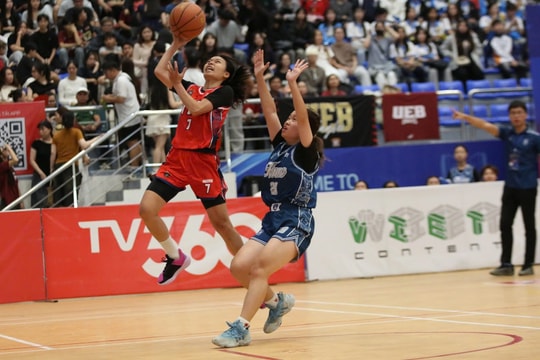 Giải bóng đá, bóng rổ sinh viên lớn nhất Việt Nam sắp khởi tranh