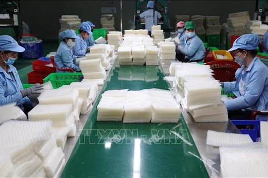 Chính phủ bãi bỏ toàn bộ hoặc một phần đối với 10 nghị định