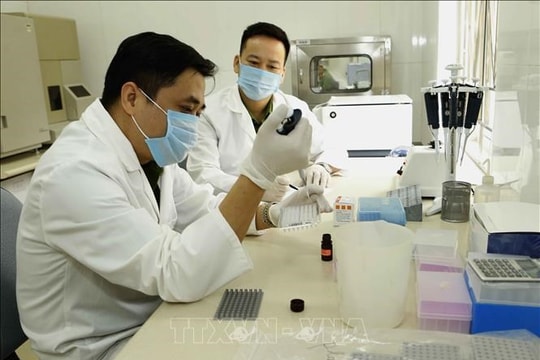 Hoàn thiện pháp luật về giám định tư pháp để nâng cao hiệu quả tố tụng