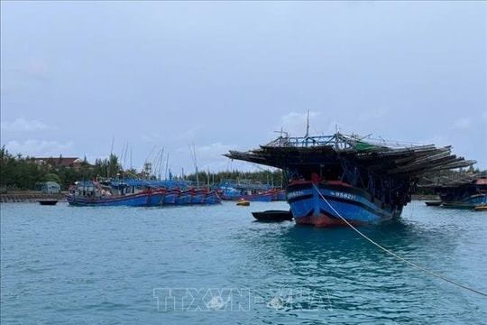 Các Trung tâm dịch vụ Hậu cần - Kỹ thuật khẩn trương đón ngư dân tránh, trú bão số 13