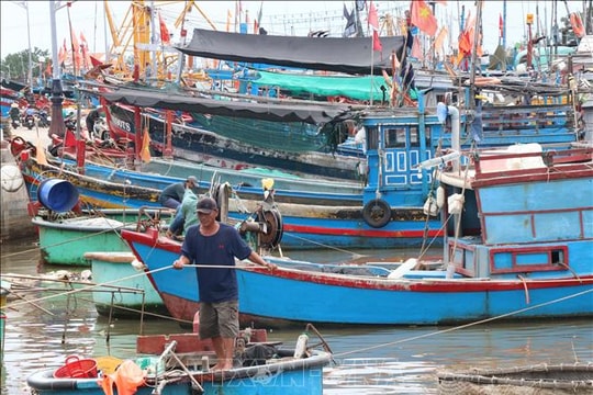 Khánh Hòa: Tàu thuyền khẩn trương vào bờ tránh trú bão số 13