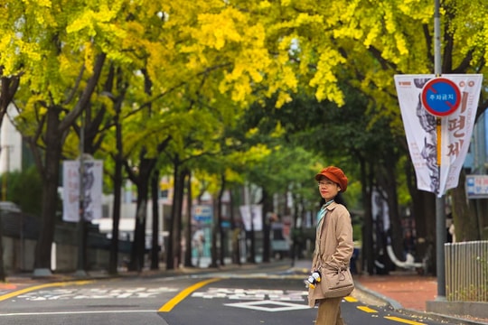 Chọn nơi ngắm lá vàng đỏ đẹp nhất ở Seoul