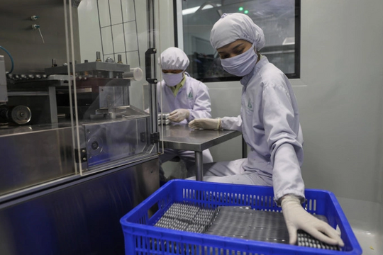 Thị trường thuốc generic Việt Nam có thể đạt 55 tỷ USD