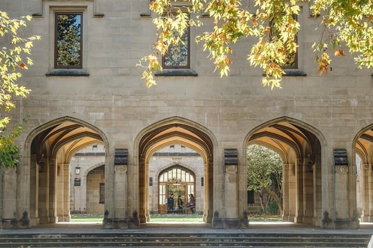 Đổ tội oan cho sinh viên vì AI