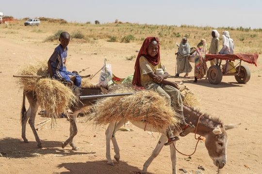 Hành trình địa ngục thoát khỏi 'cánh đồng chết' ở Sudan
