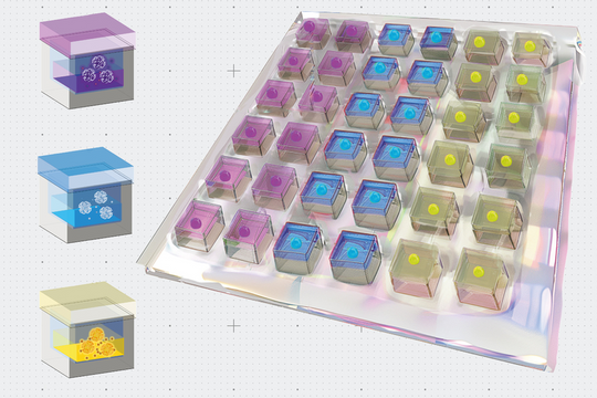 Kỹ sư MIT phát minh miếng dán tim tự động phóng thích thuốc theo lịch