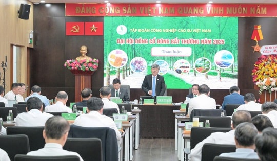 VRG chuẩn bị 1.600 tỉ đồng chia cổ tức