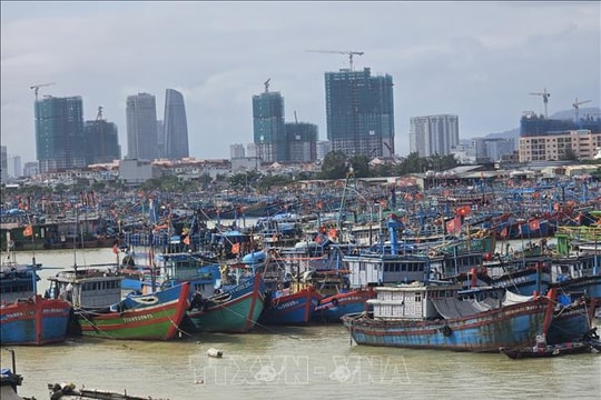 Đà Nẵng: Tàu thuyền khẩn trương vào tránh trú trước bão số 13