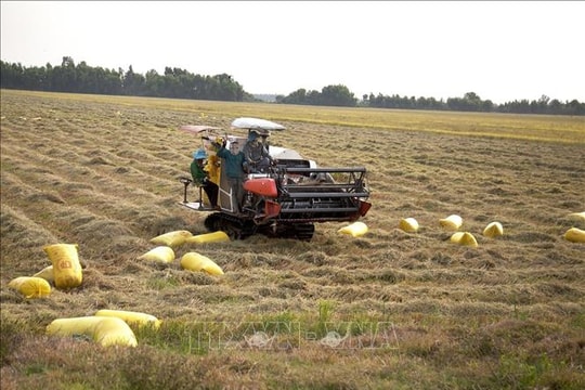 Ngành nông nghiệp duy trì tăng trưởng dù chịu ảnh hưởng của mưa bão