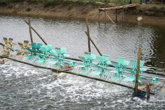 Hỗ trợ gia đình có 2 người bị điện giật tử vong dưới ao nuôi tôm