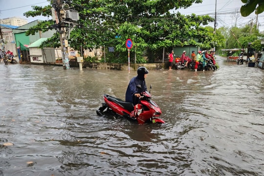 TP Hồ Chí Minh: Ứng phó bão số 13 và triều cường dâng cao