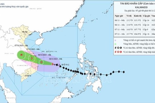 Bão số 13 giật cấp 17, cách Quy Nhơn khoảng 310 km