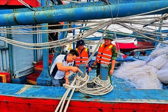 Đà Nẵng: Di dời người dân tới nơi an toàn trước 12 giờ ngày 6/11