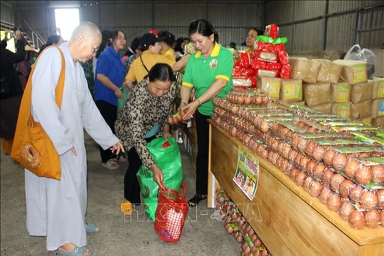 Phật giáo Việt Nam đồng hành cùng người dân vùng lũ