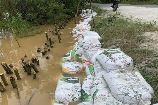 Quảng Trị: Gia tăng sạt lở bờ sông do mưa lũ kéo dài