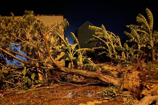 Quảng Ngãi khẩn cấp di dời dân trong đêm