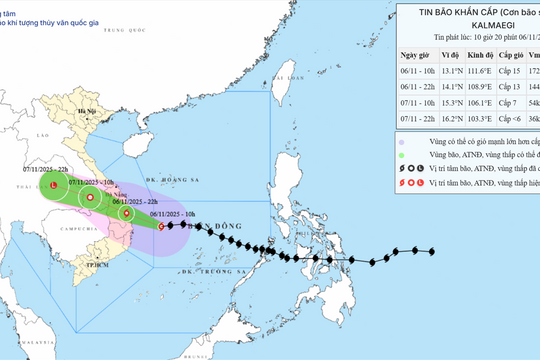 Tối 6/11, Bão số 13 đi vào Quảng Ngãi - Đắk Lắk