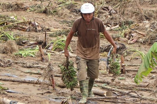 Làng rau tan hoang, nông dân trắng tay sau lũ lớn