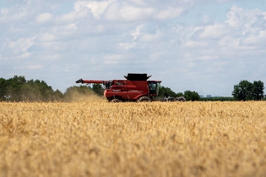 Trung Quốc mua lô lúa mỳ Mỹ đầu tiên sau một năm