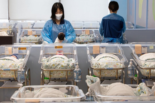 Hàn Quốc cảnh báo nguy cơ trao nhầm trẻ sơ sinh