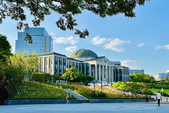 Trượt đại học vì bắt nạt học đường