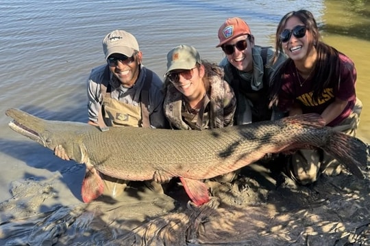 Bắt cá sấu hỏa tiễn 136 kg trên sông Mississippi