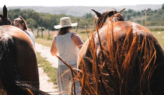 Người phụ nữ sống 10 năm không tiêu một đồng nào nhờ bí quyết có "1-0-2"