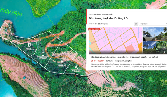 Rục rịch săn đất làm khu dưỡng lão