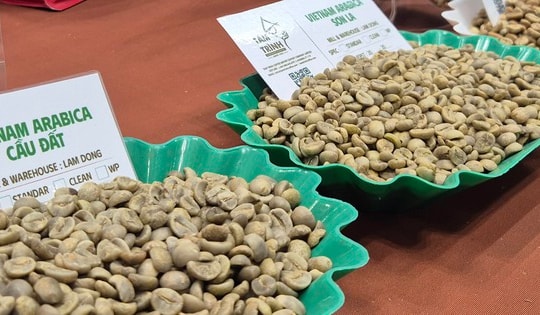 Giá cà phê hôm nay 6-11: Hàng giao ngay lại nóng