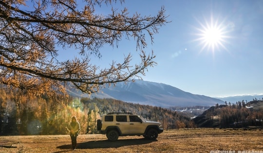 Mùa thu ở Tân Cương trải dài như dải lụa vàng giữa trời và đất