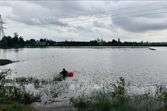 Đỉnh triều vùng hạ lưu sông Hậu dự báo xuống nhanh trong vài ngày tới