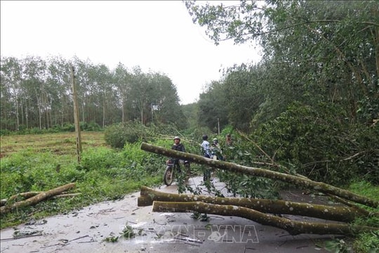 Quảng Ngãi ghi nhận một người tử vong do bão số 13