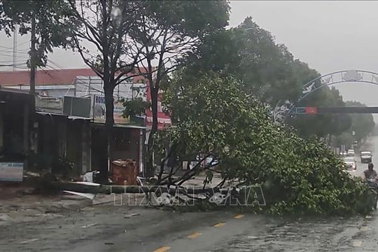 Bão số 13: Lực lượng chức năng Đắk Lắk khẩn trương khắc phục hậu quả trong đêm