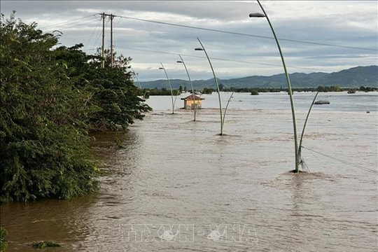 Ước tính thiệt hại ban đầu do ảnh hưởng bão số 13 là 7.050 tỷ đồng