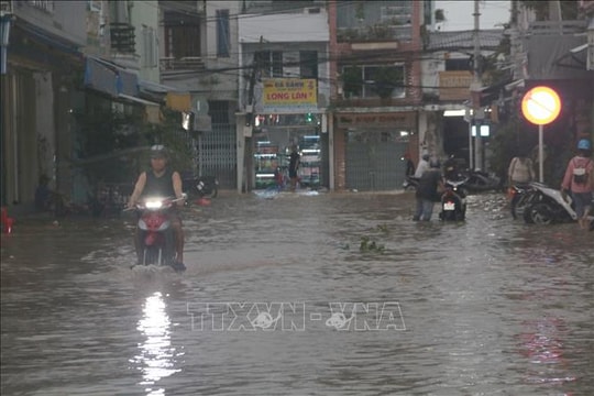 Cấp bách giải bài toán ngập lụt, sạt lở khi mực nước thuỷ triều lên nhanh