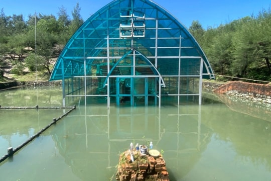 Phê bình đơn vị quản lý để tháp Chăm nghìn năm tuổi bị ngập lụt