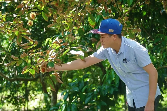 Những điểm đến 'chữa lành' hút giới trẻ tại miền Bắc