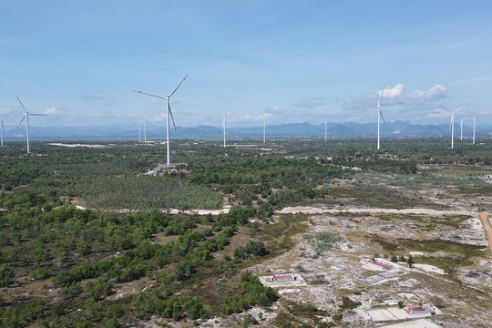 Quảng Trị chấp thuận đầu tư nhà máy điện gió hơn 9.000 tỷ đồng