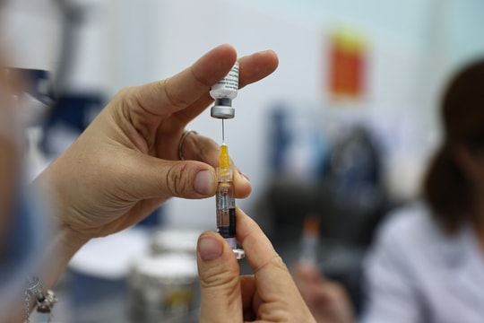 Việt Nam khởi động thử nghiệm vaccine sốt xuất huyết mới