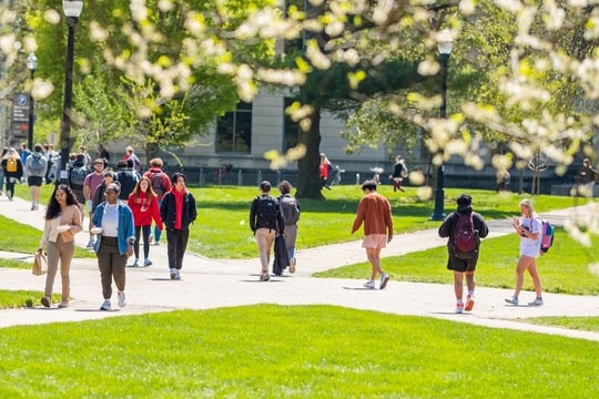 Đua nhau học song bằng để 'bớt sợ hãi' khi ra trường