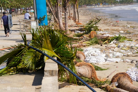 Dừa bật gốc, cát phủ kín 3 km đường ven biển Đà Nẵng