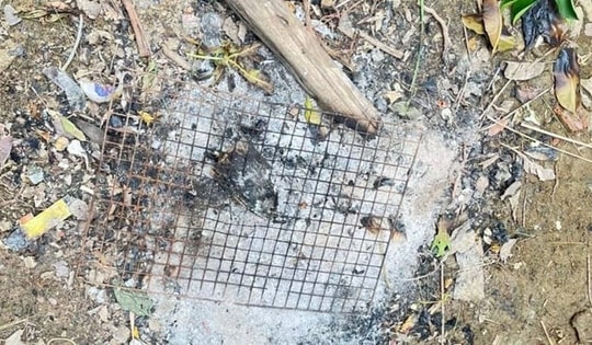 Ăn trứng thằn lằn, người đàn ông tử vong vì bị ngộ độc